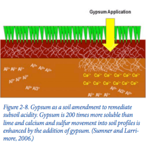  Gypsum as an Agricultural Amendment - Bulletin 945