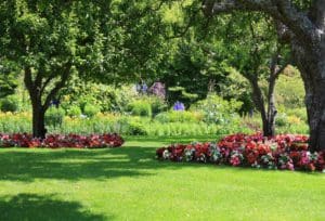 well groomed lawn & flower garden